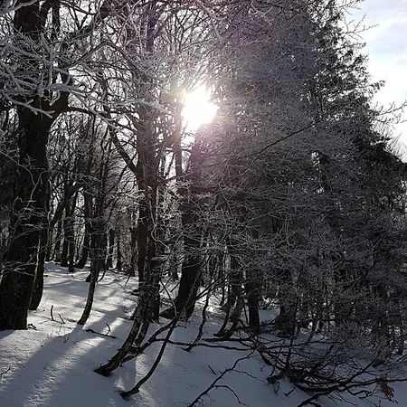 L'Ideal Gérardmer Exteriör bild