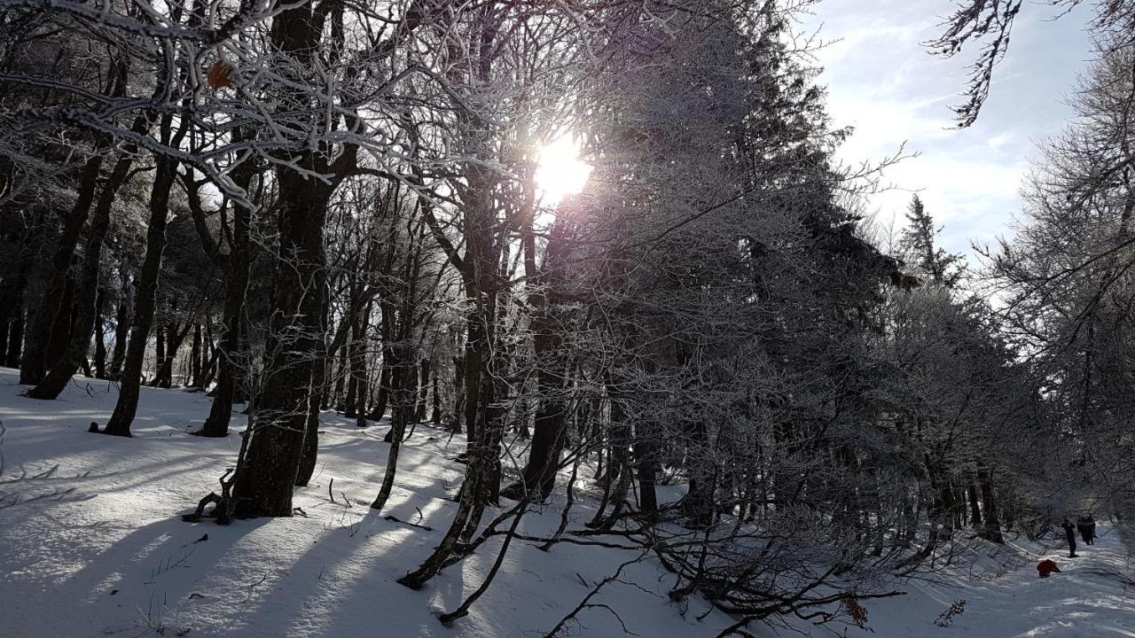 L'Ideal Gérardmer Exteriör bild